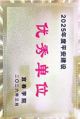 2025年度平安建设优秀单位